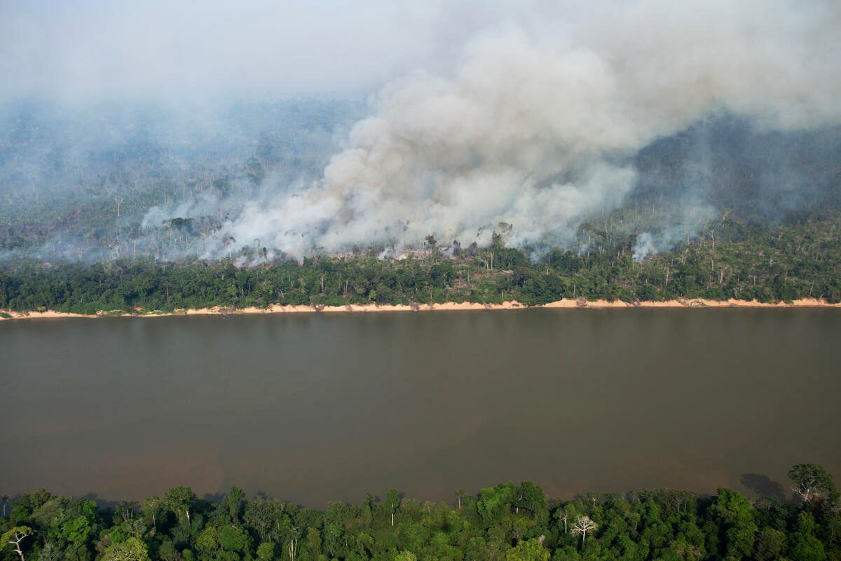 Deforestation in the Amazon