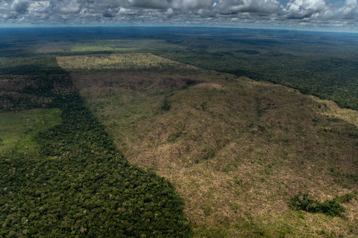 Overflight image of deforestation in the Amazon.