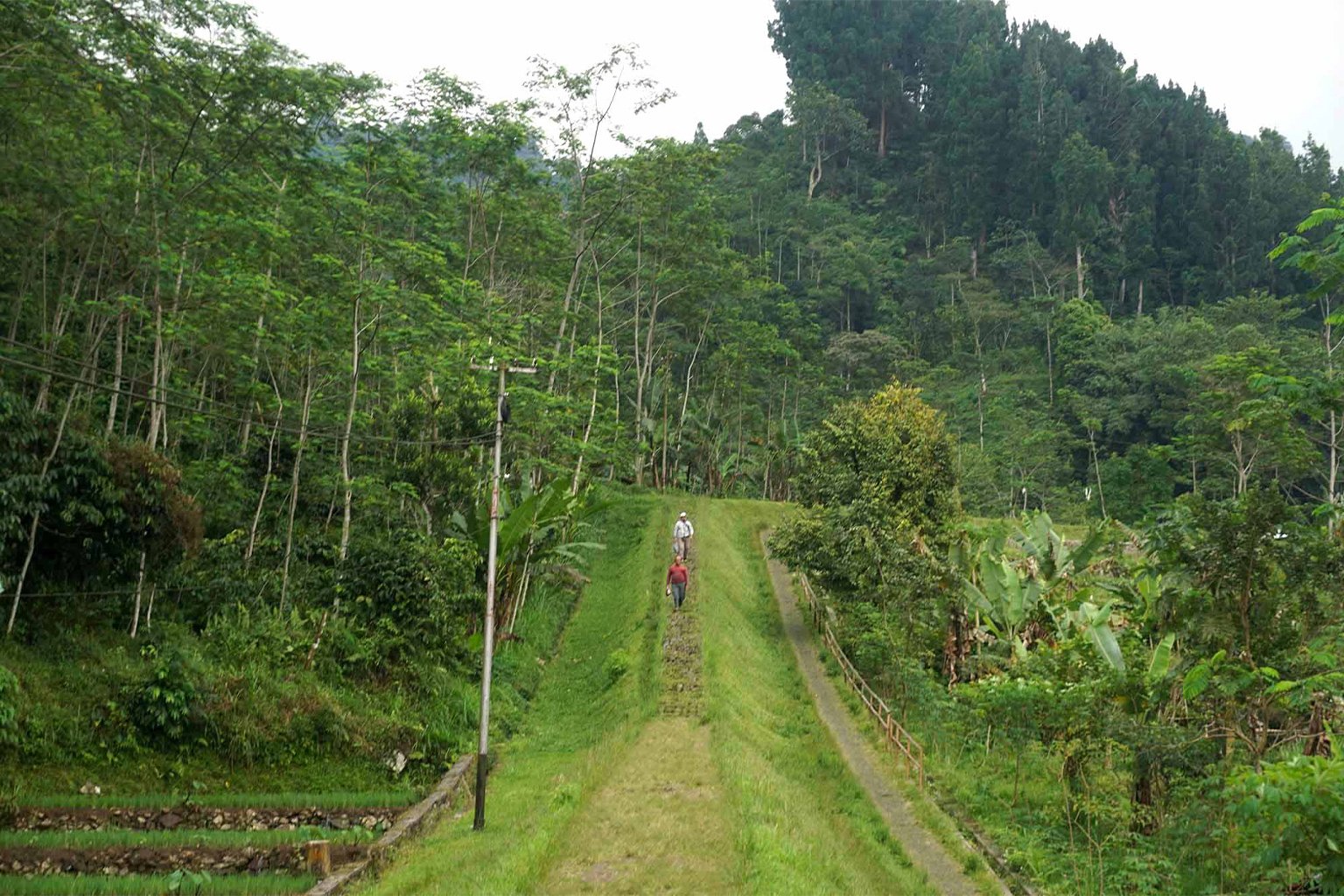 Participants descending from Mount Cendana