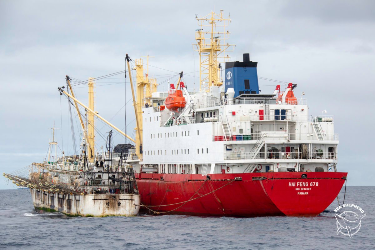 A Chinese fishing ship