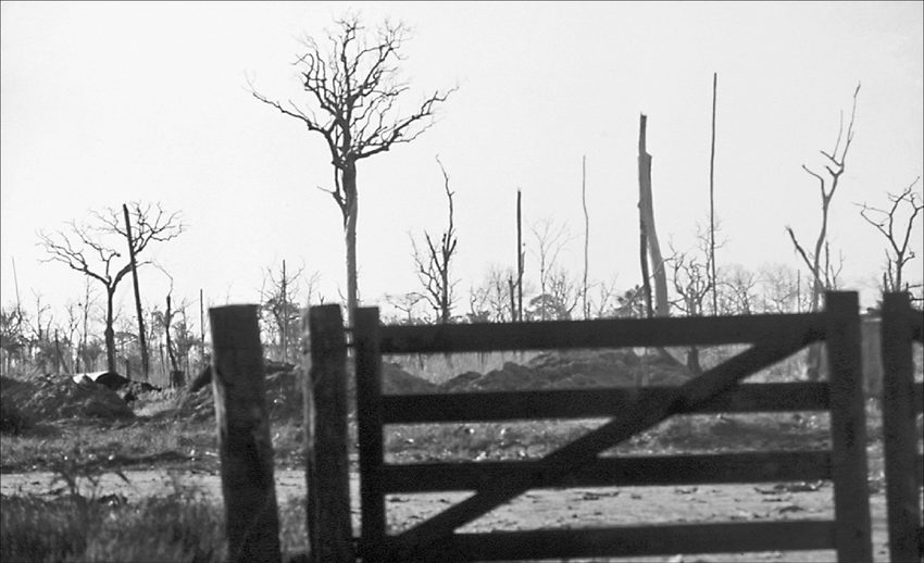 Entrance to São Nicolau Farm.