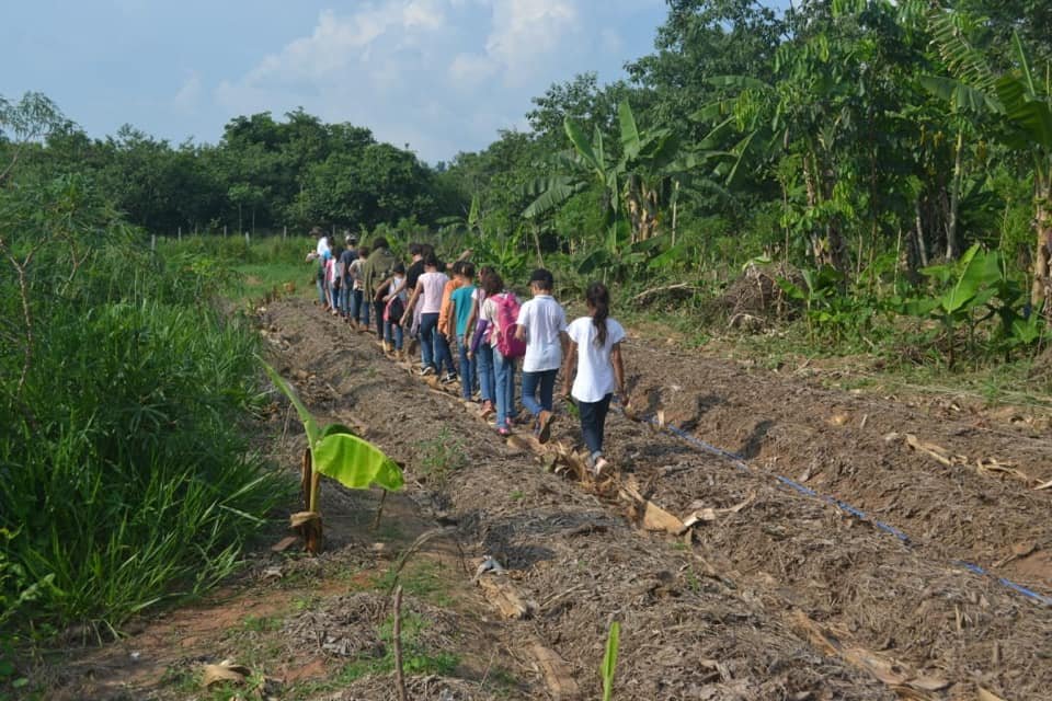 Students from a local elementary school participating in an environmental education program.