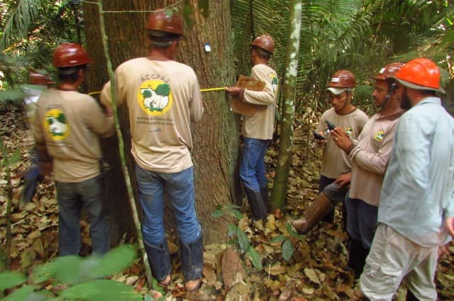 Members of the local association of Brazil nut gatherers