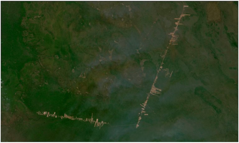 Satellite imagery captured September 2022 by Planet Labs Inc. shows the progression of a road in Ñembi Guasu.