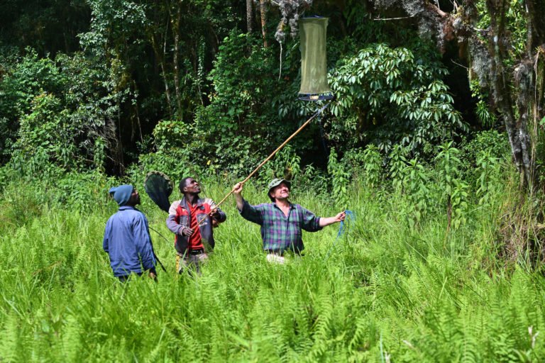 Gura Ferda expedition, Ethiopia, May-June 2022. Image courtesy Christophe Bernier.