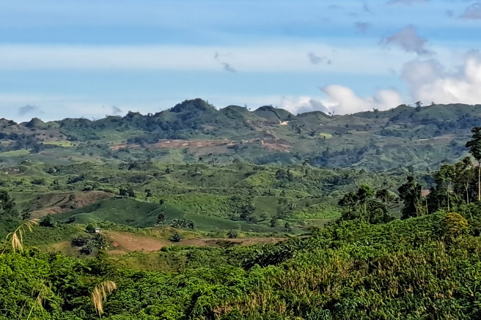 Land clearing for the development of a coal mining project 