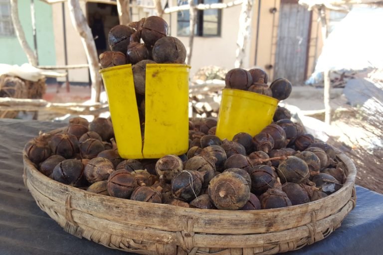 Two cracked yellow containers balanced on a large basket, all full of matobo, a spherical brown-skinned forest fruit that is popular with Zambians. Image courtesy Ashley Steel.