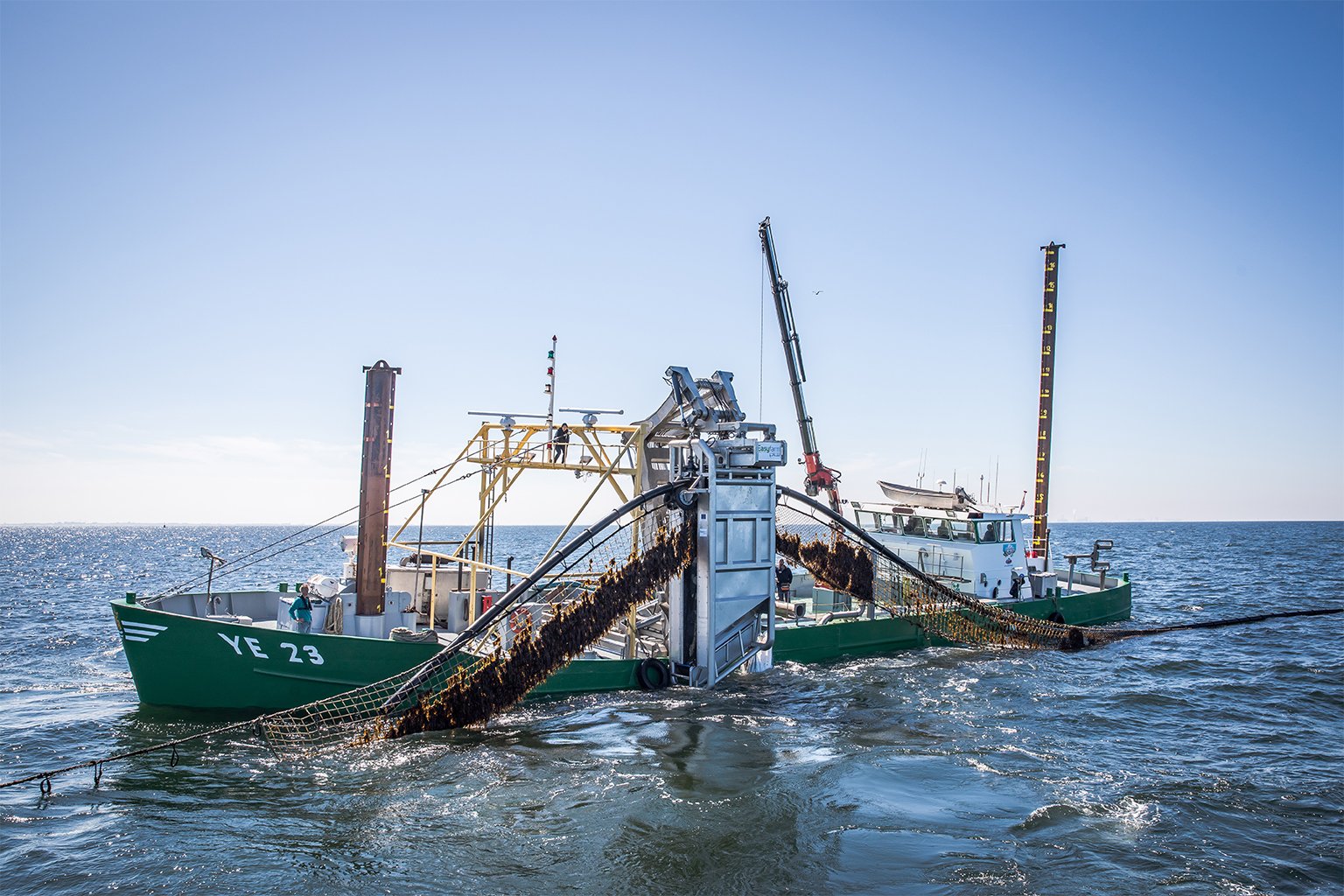 A mechanical arm on the Janne Yerseke cuts seaweed off a rope.