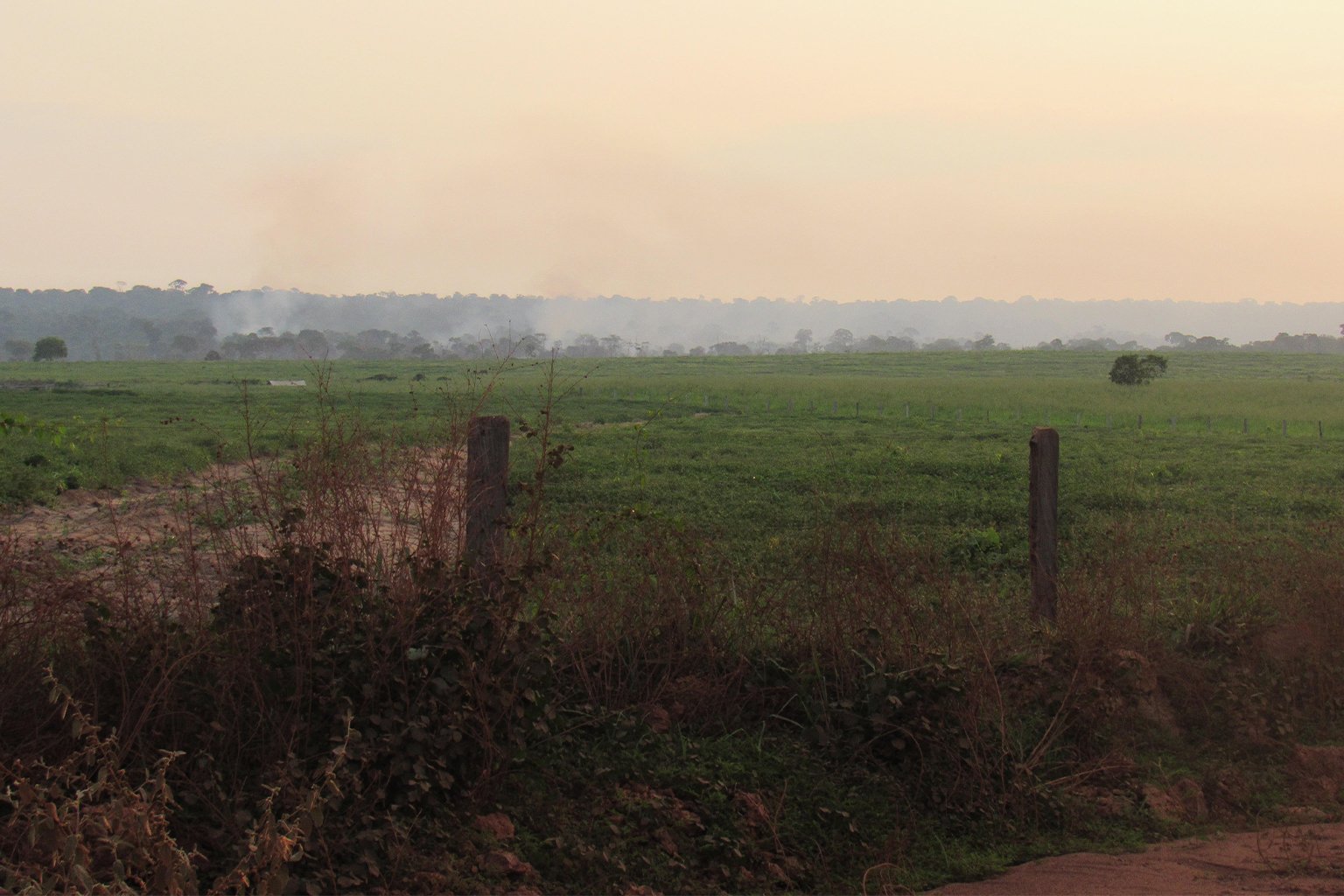 Agricultural land.