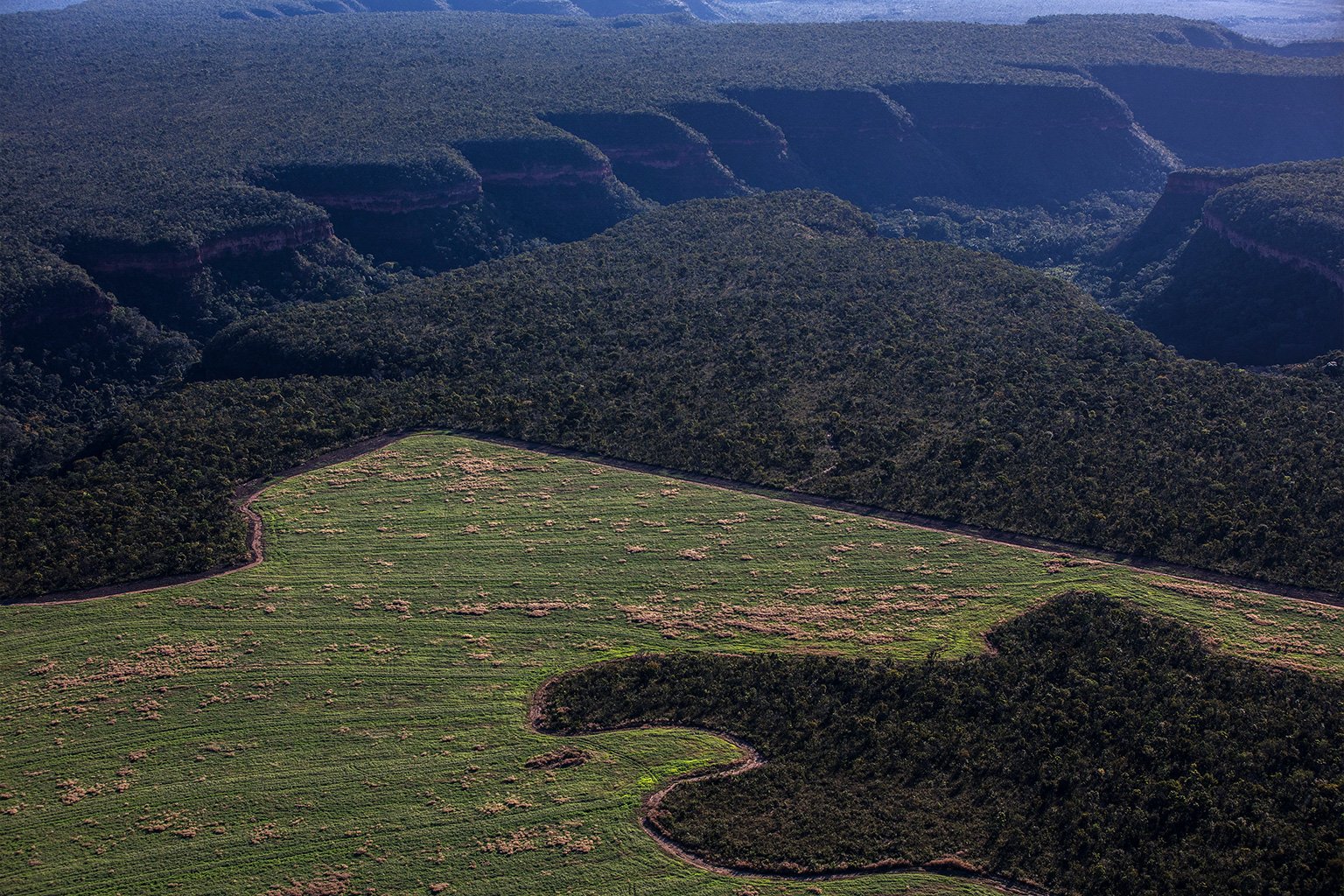 Deforestation for soy and corn.