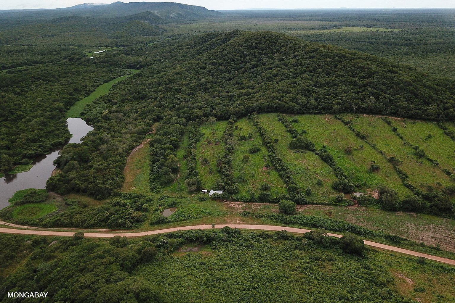 Cattle pasture and forest drone.