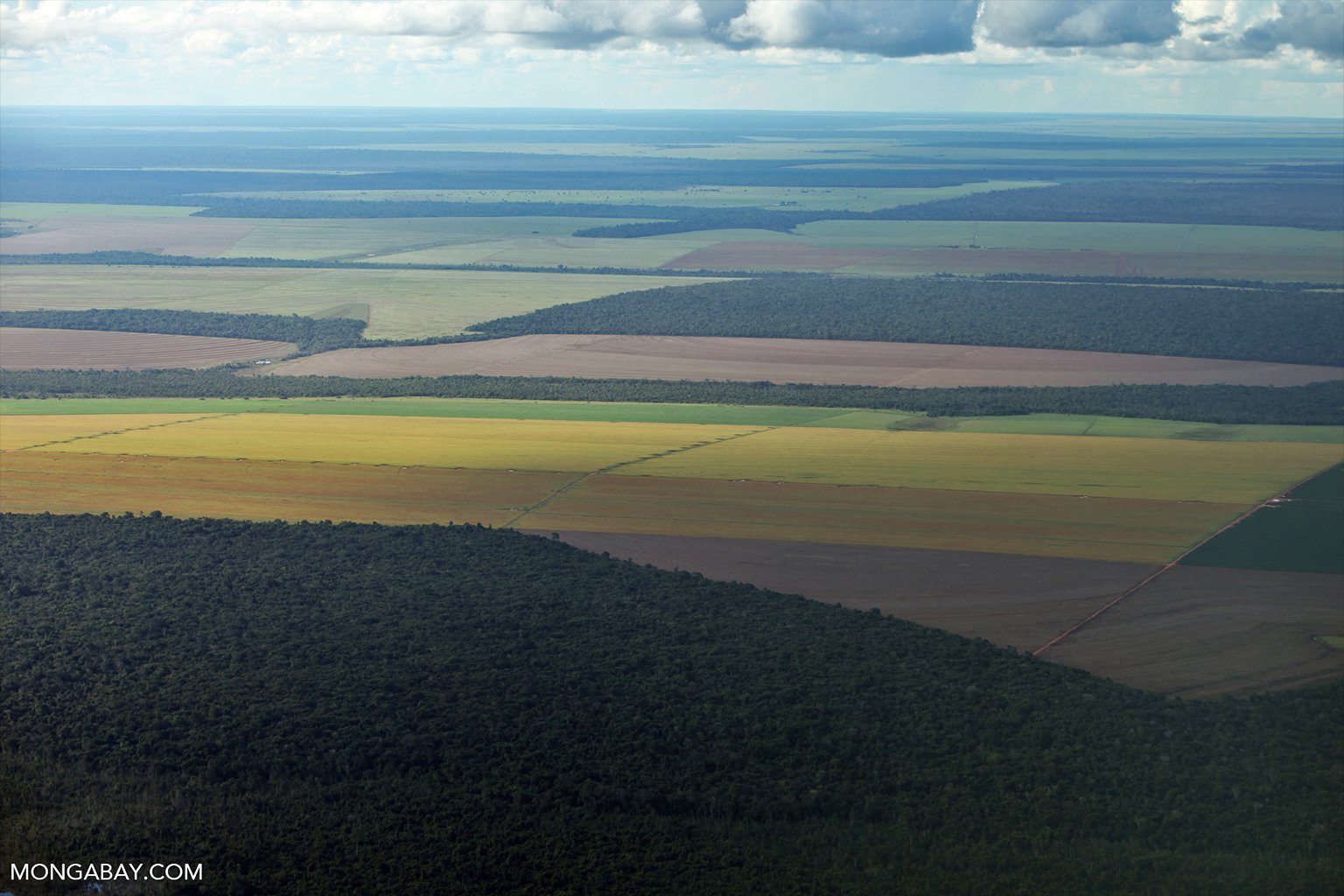 Patchwork of legal forest reserves, pasture, and soy farms drone.