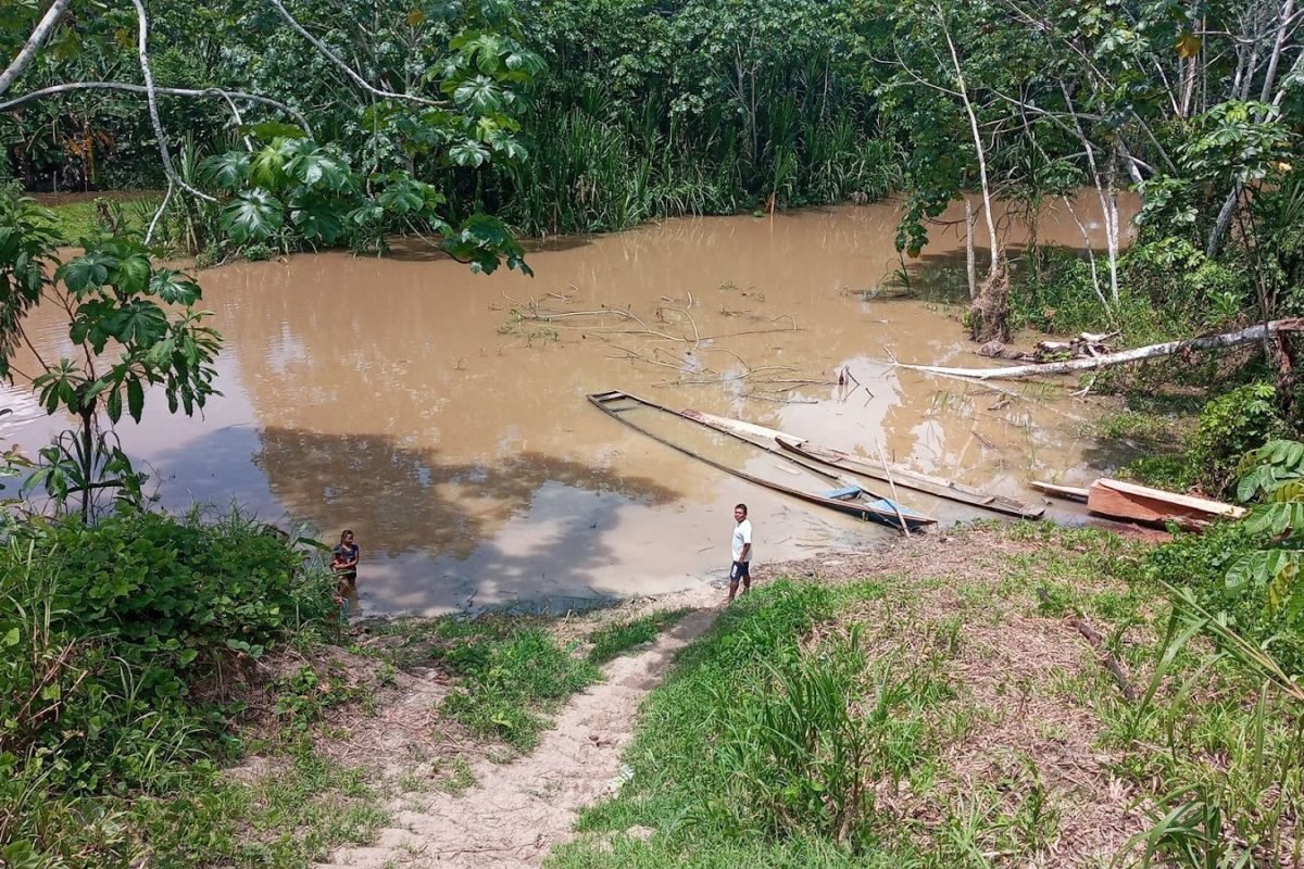 The Mashiría Creek.