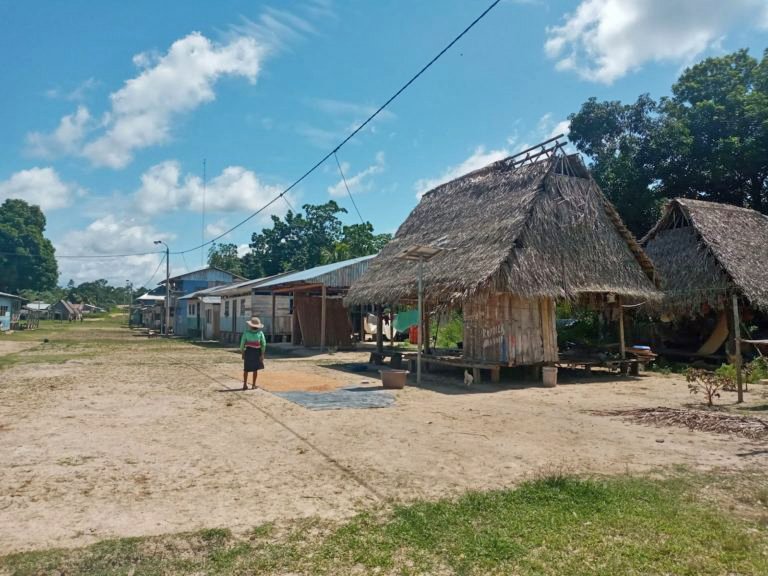 Houses in Nuevo Sucre.