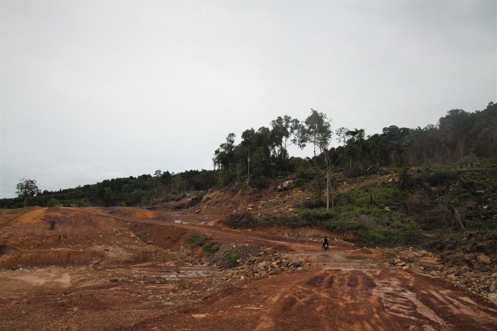 Deforestation remains rampant across Cambodia's remaining forests, reducing natural habitats for long-tailed macaques and making them easier for hunters to catch