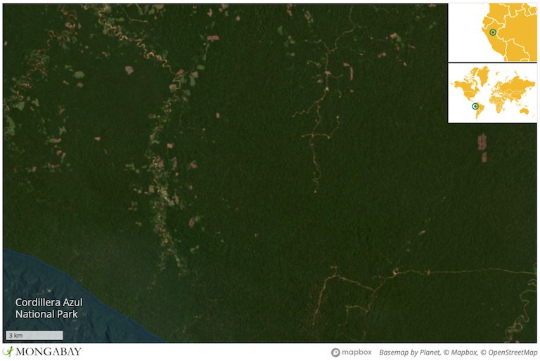 Satellite imagery captured September 2022 shows many new clearings in the area comprising Santa Rosillo de Yanayacu's territory, which is located near Cordillera Azul National Park.