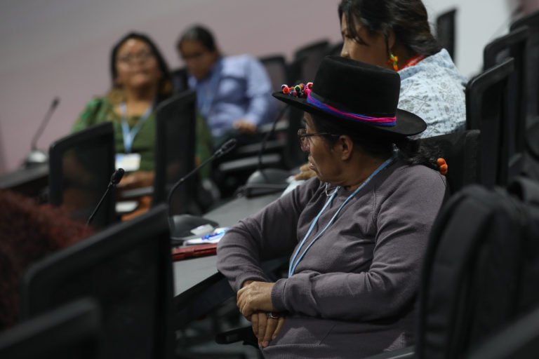 Indigenous delegate at COP27 in Egypt. Image courtesy of UN climate change via Flickr (CC BY-NC-SA 2.0).
