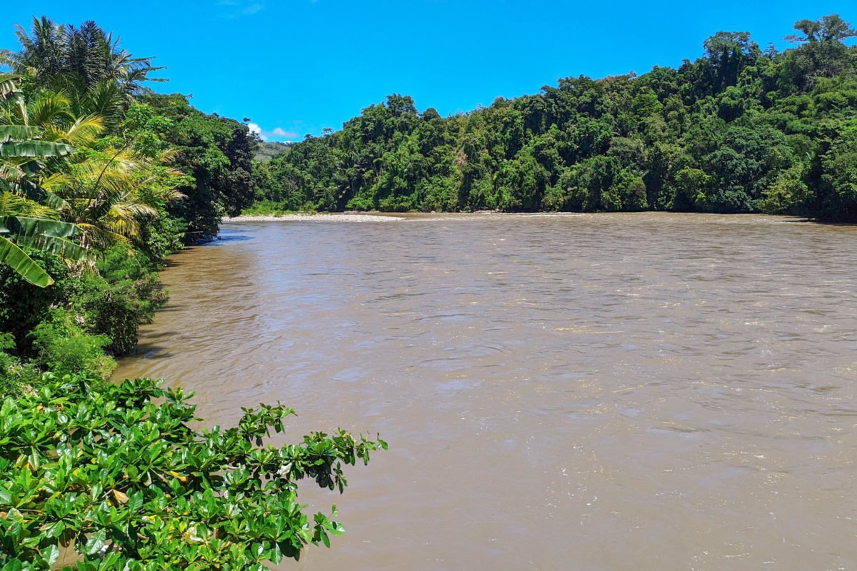 The banks of the fast-flowing Karama River.