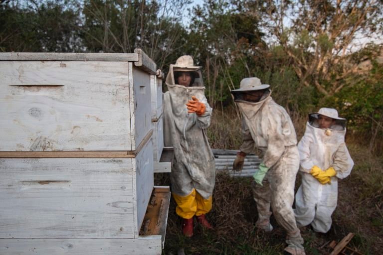 10. Mara, Yessica and Igor managing beehives at Lar de Pesquisas Agroecológicas Abacateiro. Egídio Brunetto Agroecological Settlement, Lagoinha, Paraíba Valley, Brazil. Image by Inaê Guion.