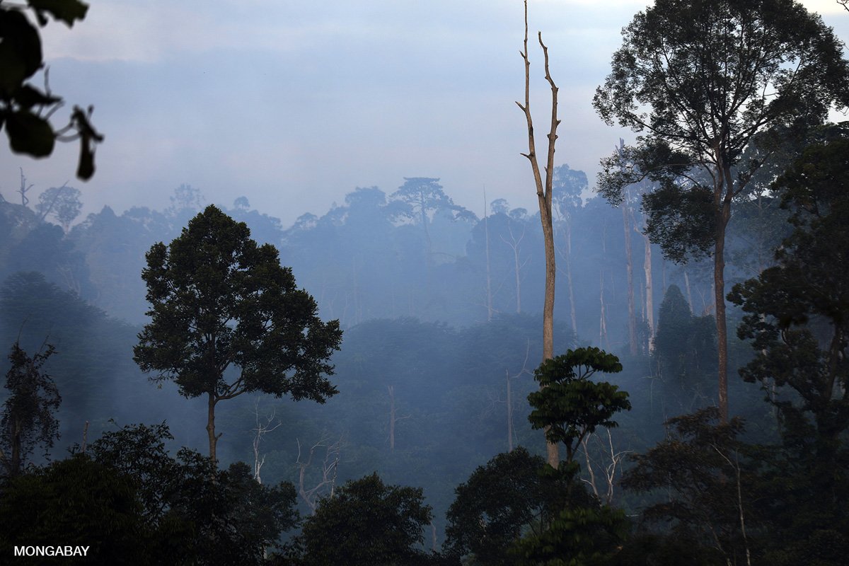 Peatlands in Indonesia burning.