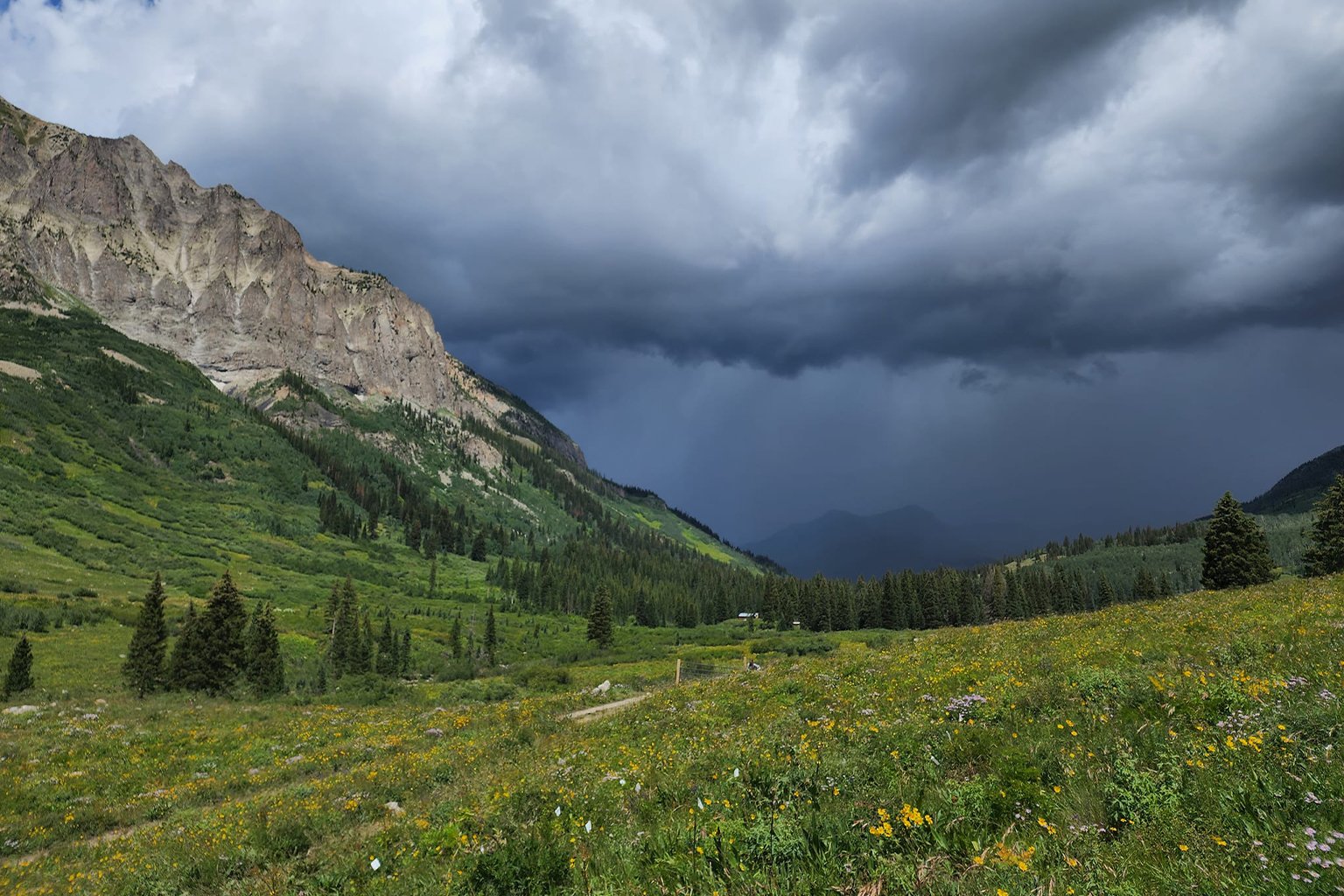 Carol Boggs’s study site in the Rocky Mountains.