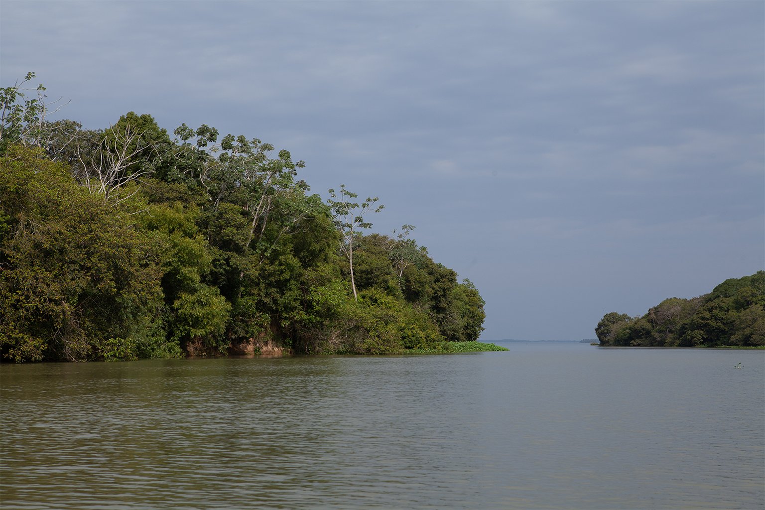 The Ivinhema River.