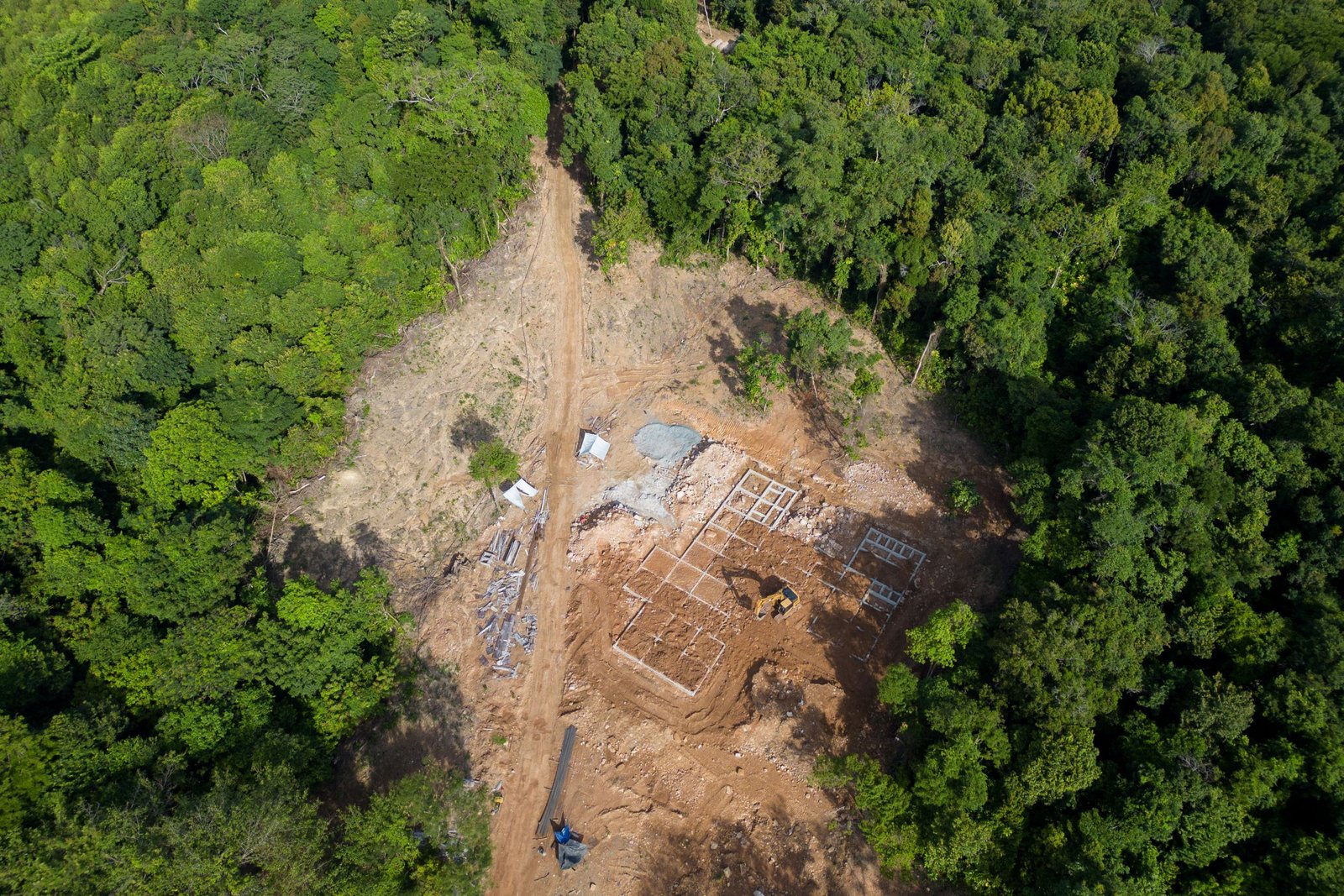 Excavators seen on Koh Toteung in November are gutting the island's forest to make way for a new "ecotourism resort."