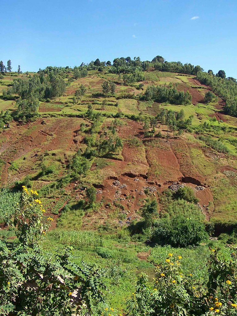 Agricultural lanfscape in South Kivu in the Democratic Republic of the Congo. Photo credit: Alain Karsenty