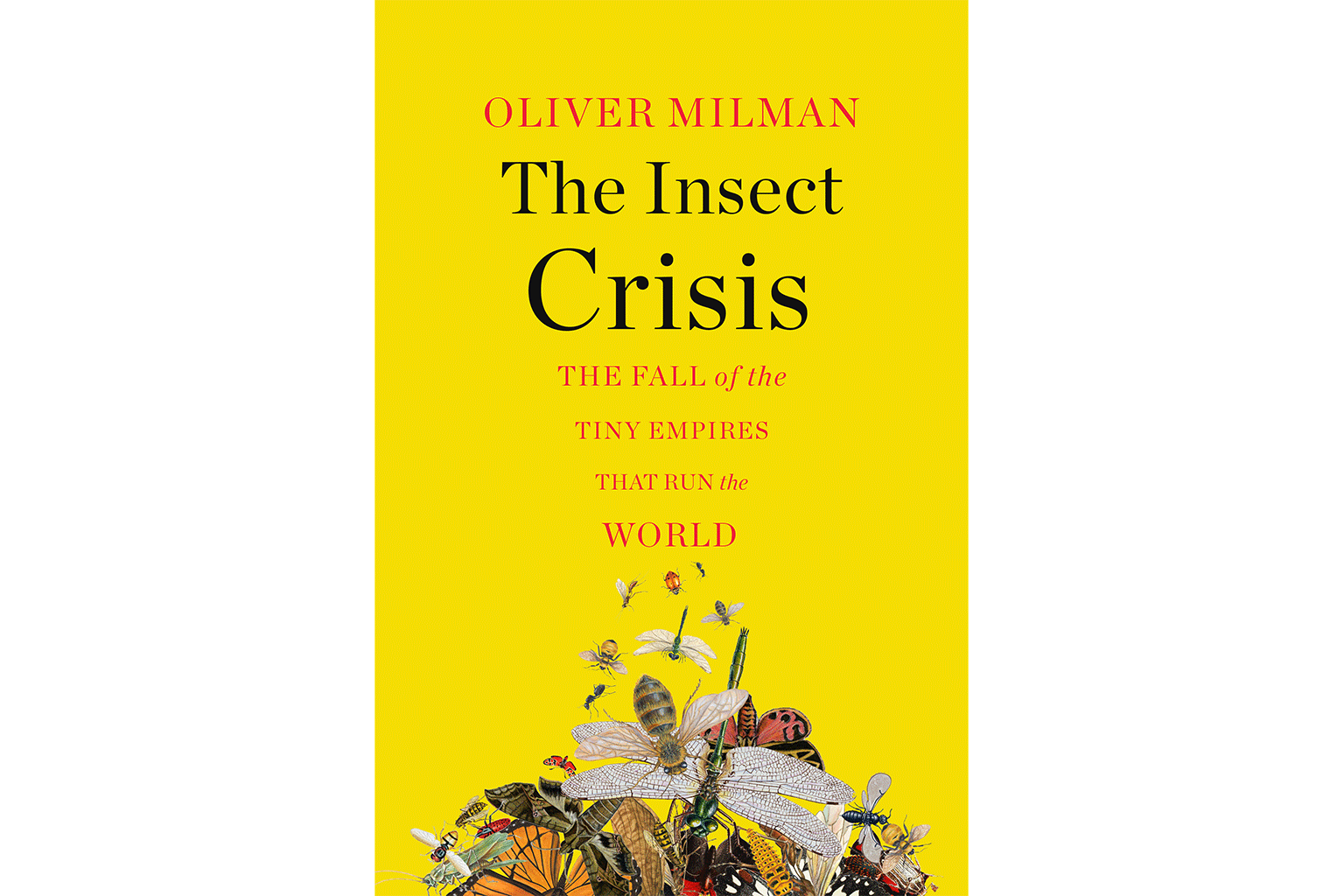 The Insect Crisis: The Fall of the Tiny Empires That Run the World