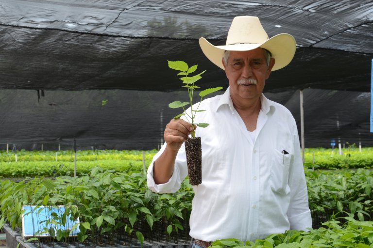 farmer