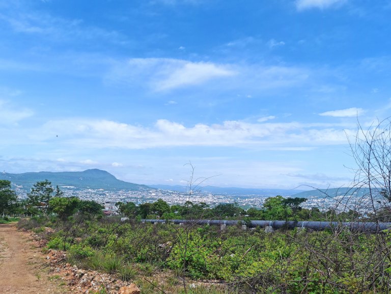 panorama