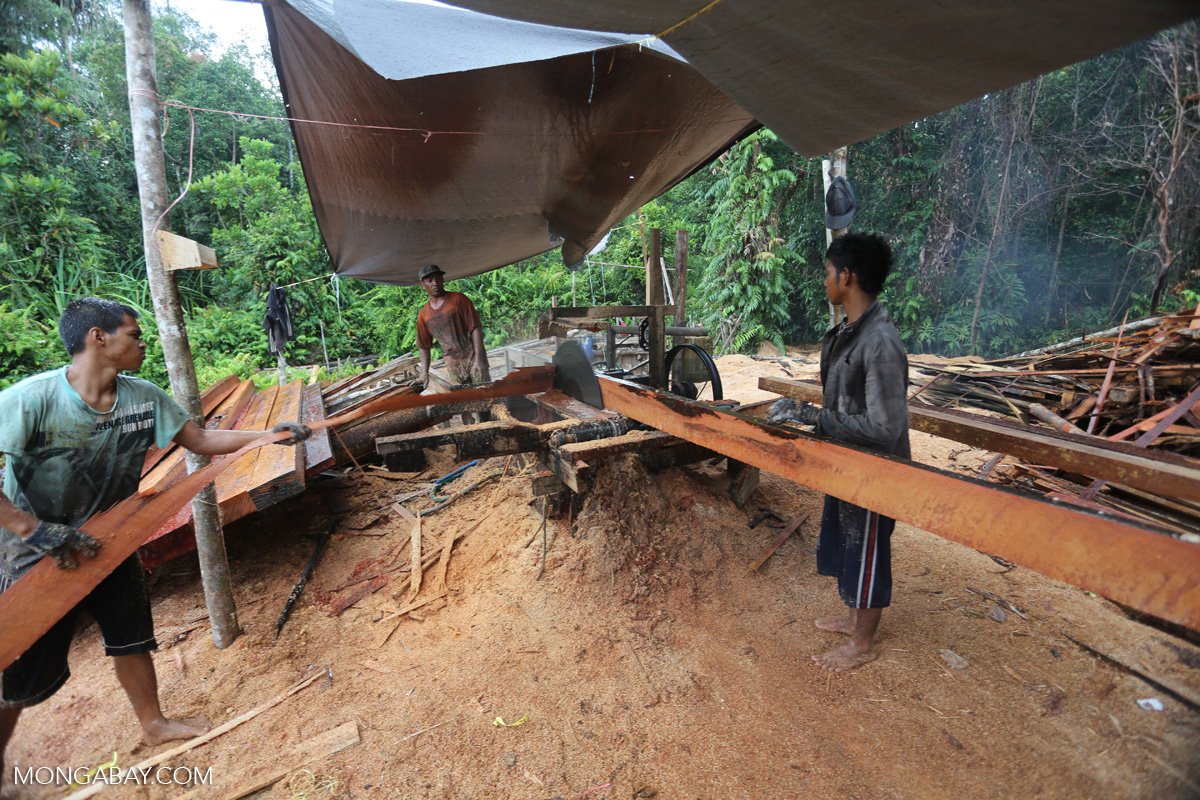 Men working with timber.