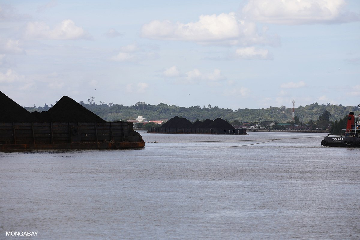 Coal on a barge near Tanjung Redeb.