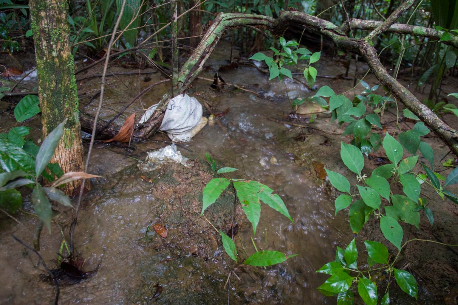 Mongabay Latam and Rutas del Conflicto reporters observed discarded waste such as bags, tarpaulins and empty plastic containers in the Agrícola El Encanto and Aceites del Vichada oil palm plantations. Image by Juan Carlos Contreras Medina.