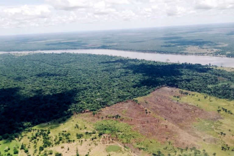 Deforestación en la Amazonía colombiana. Foto: James Bargent.