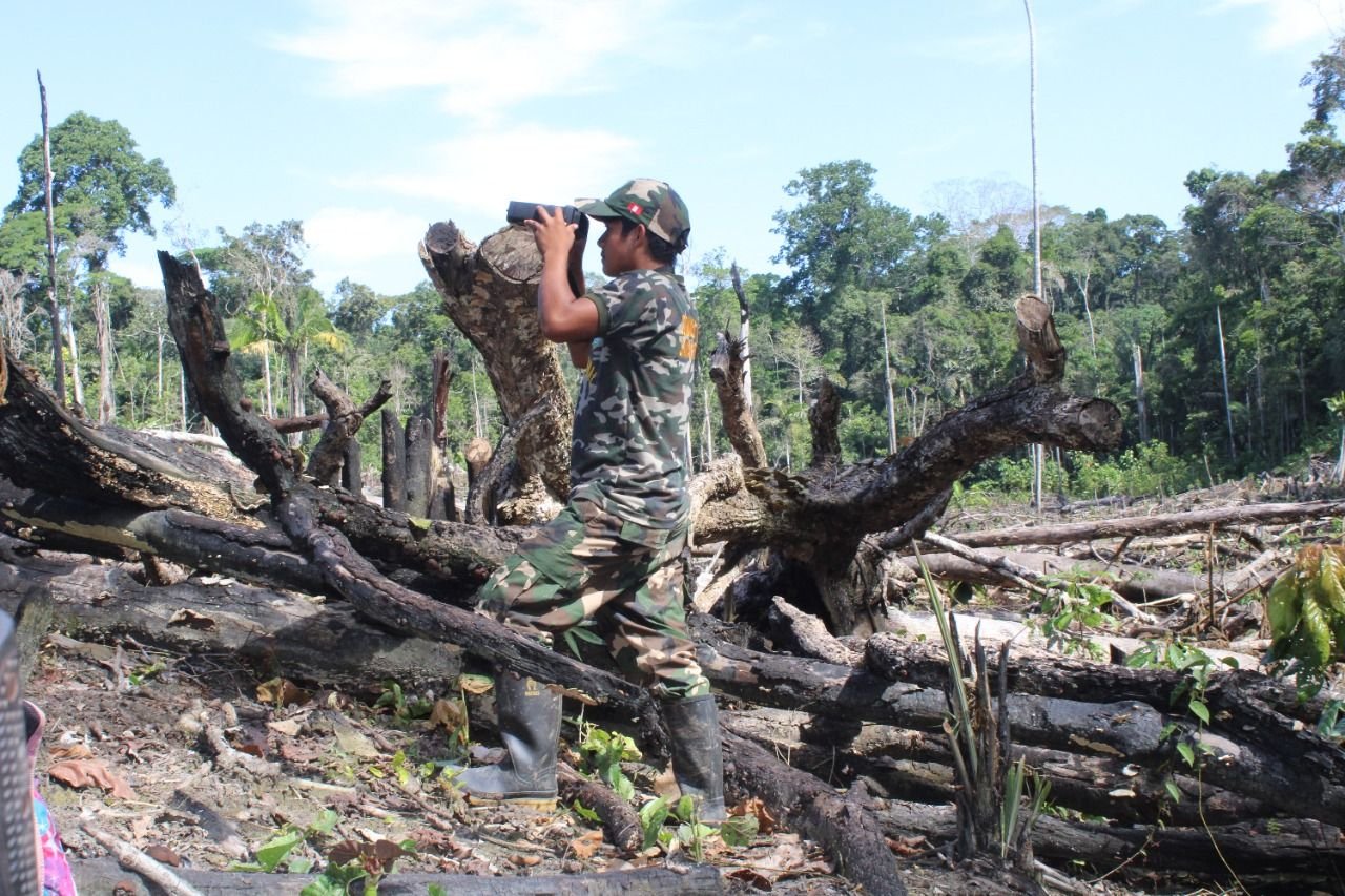 A monitoring team assess damage to the Rosillo de Yanayacu territorial forest. Image courtesy of the Rosillo de Yanayacu community patrol.